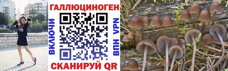 маркетплейс какой сайт  что такое наркотик  Собинка  Псилоцибиновые грибы MAGIC MUSHROOMS 